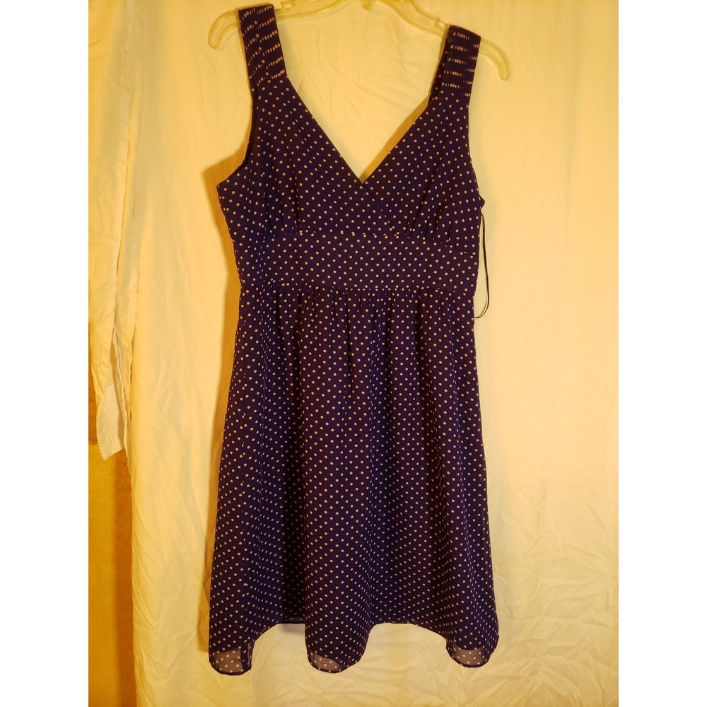 Women's Gap  Blue Polka Dot Sleveless Dress Size 10